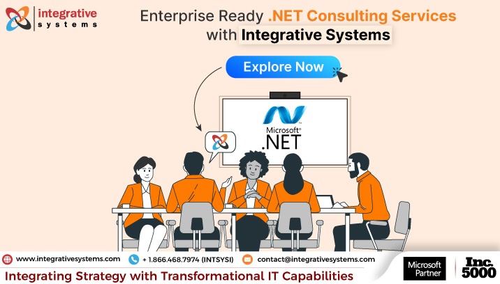 .Net Consulting Services