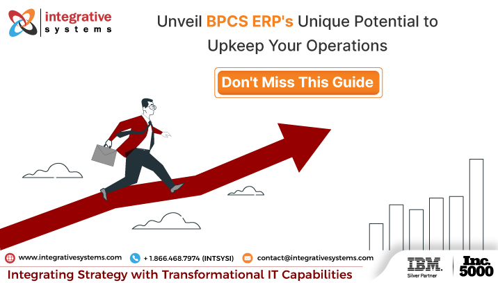 BPCS ERP & Consulting Services