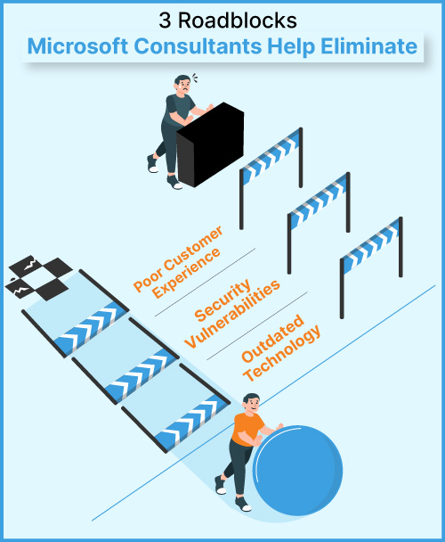 Microsoft Consulting Services