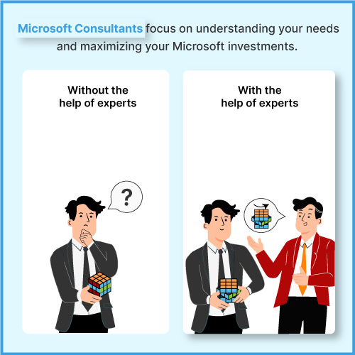 Microsoft consultant